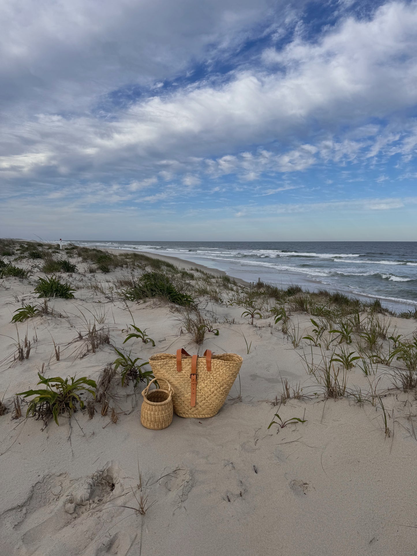 Delilah straw multi-Market Bag