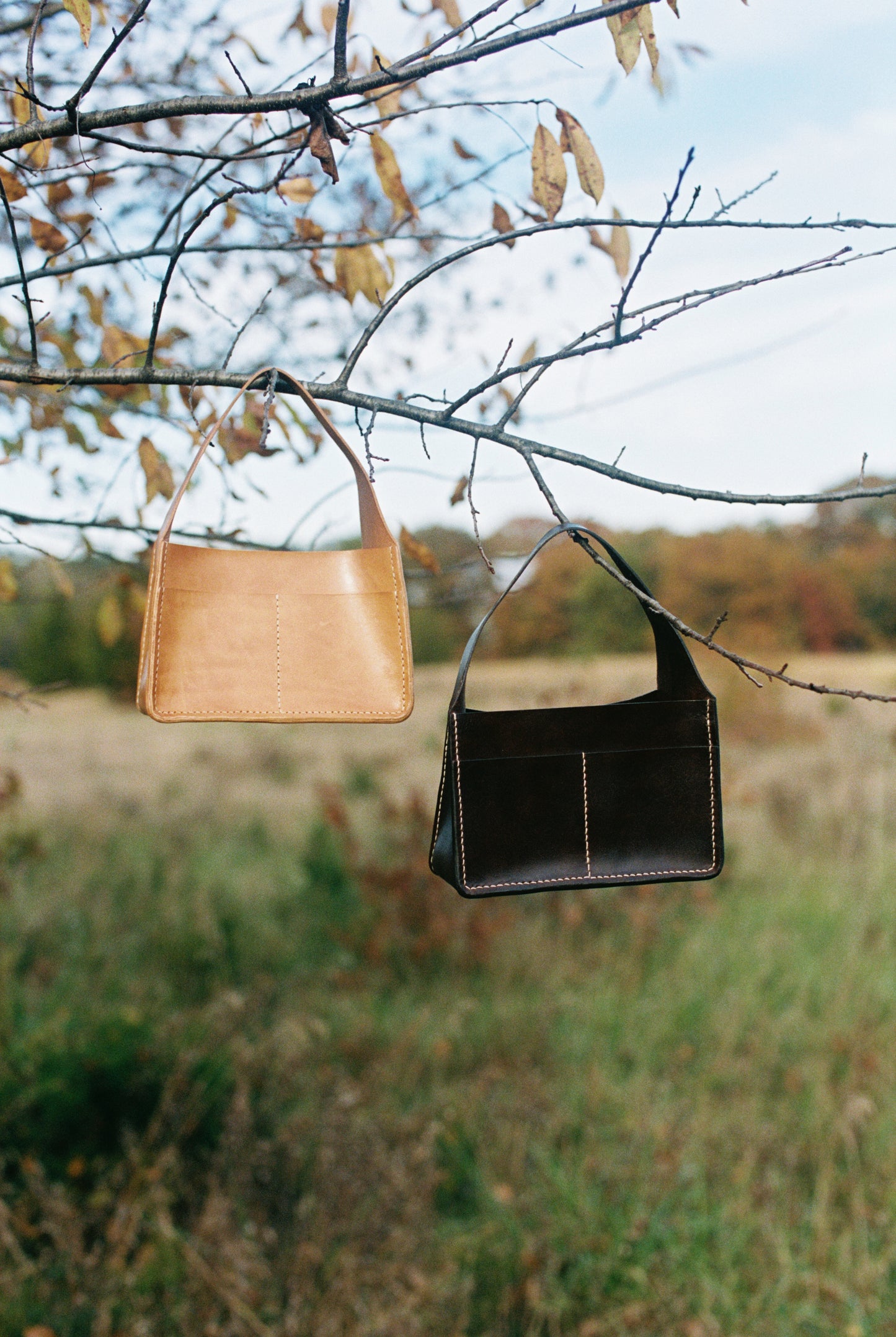 Dinner bag