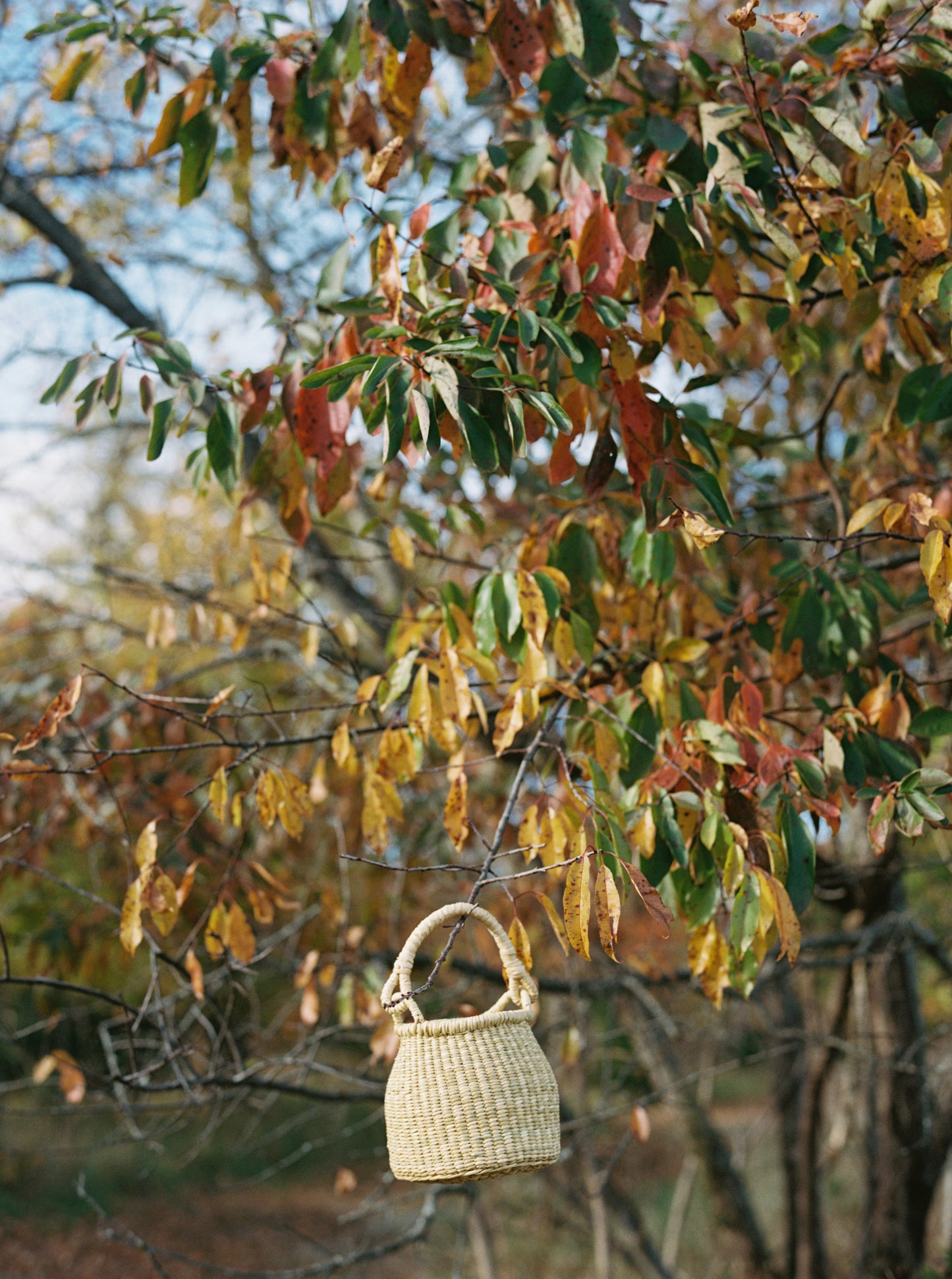 Delilah straw multi-Market Bag