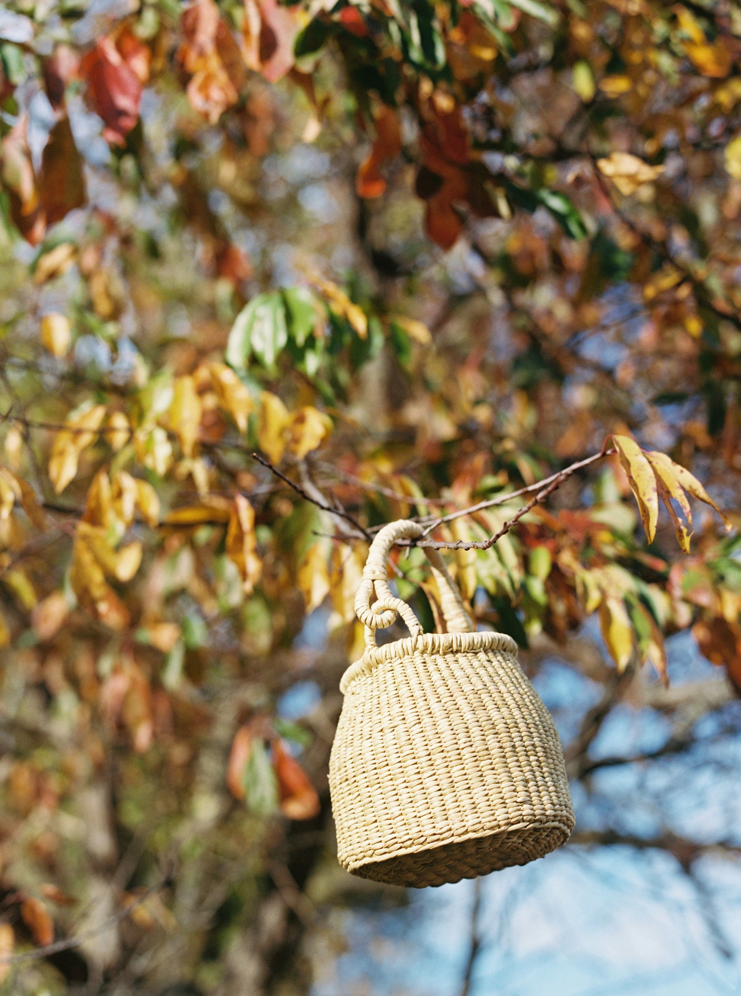 Delilah straw multi-Market Bag